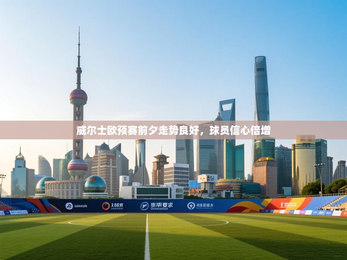 威尔士欧预赛前夕走势良好，球员信心倍增  第2张